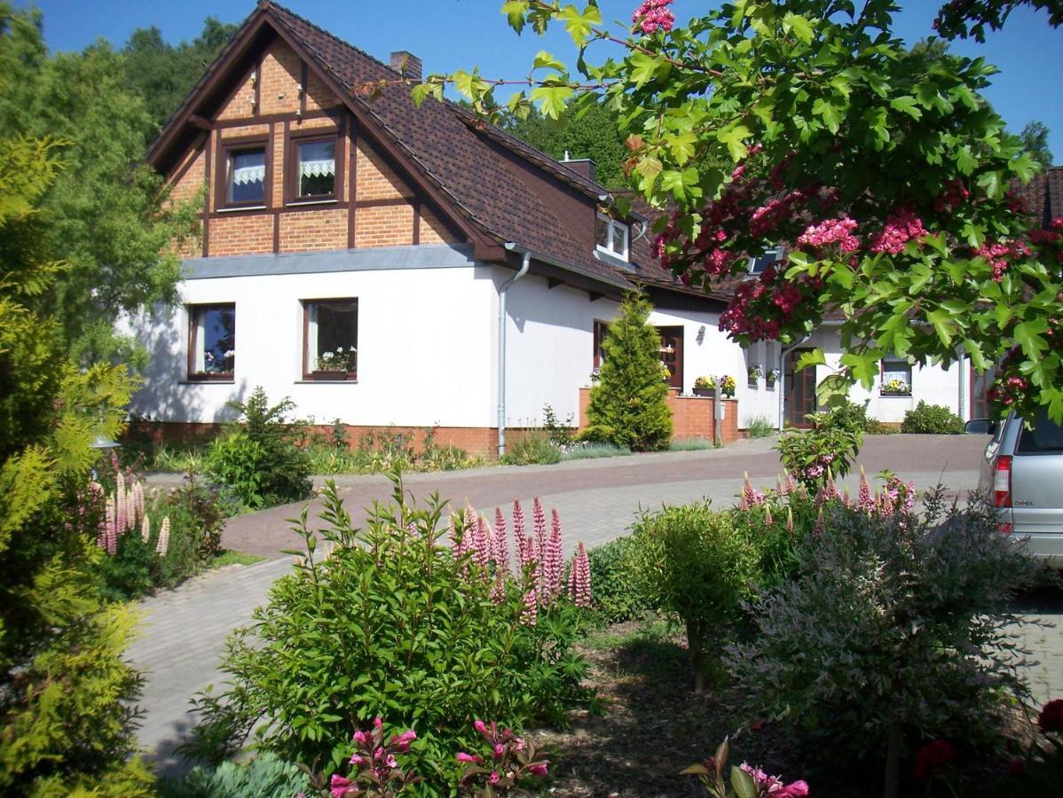 Ferienwohnung 3 Ada Bergen Auf Rugen Bagian luar foto